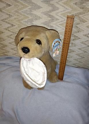Песик гарної якості salco