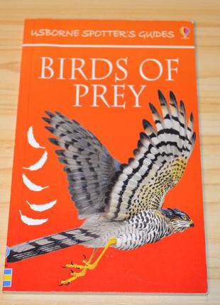 Birds of prey, дитяча книга англійською мовою