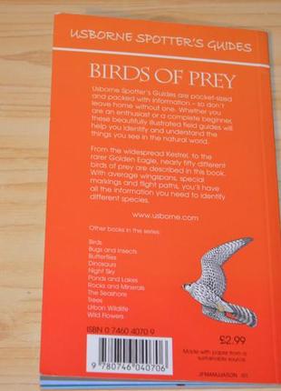 Birds of prey, дитяча книга англійською мовою9 фото