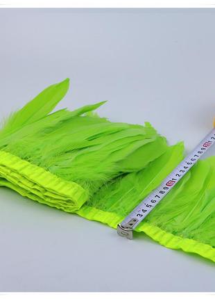 Тесьма перьевая из гусиных перьев, цвет green, цена за 0.5м3 фото