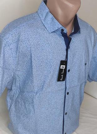 Рубашка мужская с коротким рукавом батальная paul smith vk-0126 голубая в принт стрейч коттон турция, тенниска2 фото
