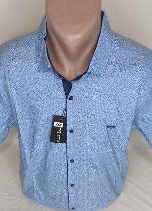 Рубашка мужская с коротким рукавом батальная paul smith vk-0126 голубая в принт стрейч коттон турция, тенниска6 фото