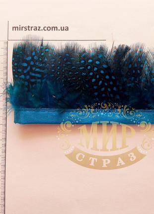 Тасьма пір'яна з пера цесарки, колір cobalt, 0,5 м, висота 5,5 см3 фото