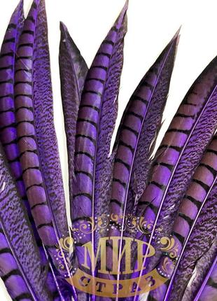 Перо фазана, цвет purple, длинна 30-35см*1шт