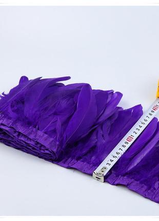 Тесьма перьевая из гусиных перьев, цвет violet, цена за 0.5м3 фото