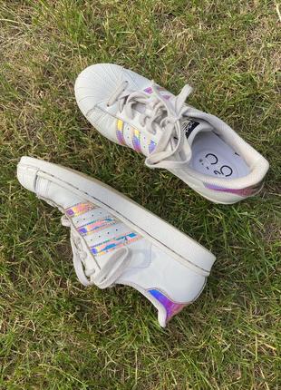 Суперстари adidas superstar