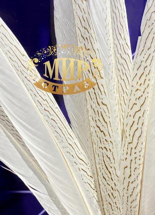 Белое перо  фазана длинна 40-45см*1шт