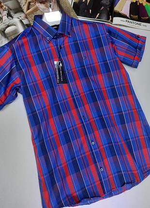 Мужская яркая тенниска в клетку