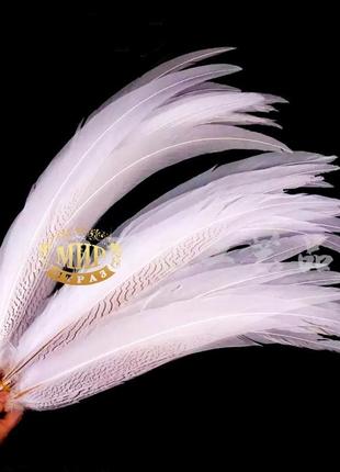 Біле пір'я фазана довжина 55-60см*1шт2 фото