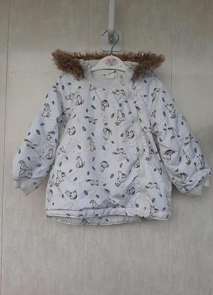 Зимняя куртка (еврозима) в зверятах