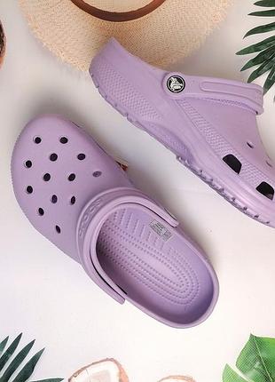 Жіночі крокси сабо classic лавандові2 фото