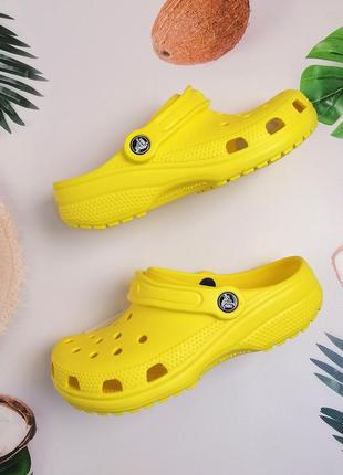 Жіночі крокси сабо classic жовті