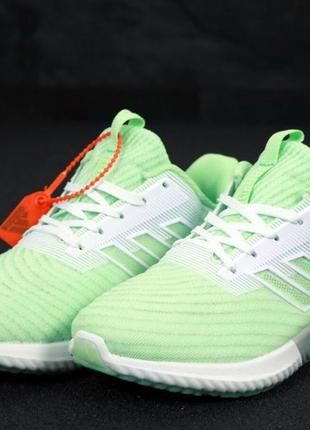 Женские кроссовки adidas climacool green white 36-372 фото