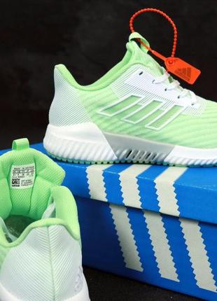 Женские кроссовки adidas climacool green white 36-373 фото