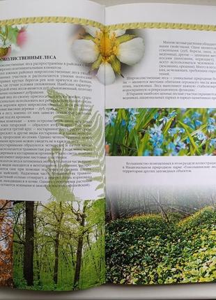 Рослини україни7 фото
