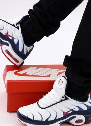 Чоловічі кросівки nike air max plus tn#найк