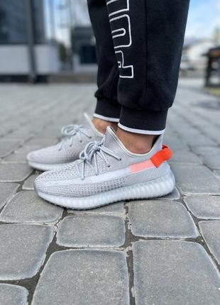 Чоловічі кросівки adidas yeezy boost 350 v2 "tail light"