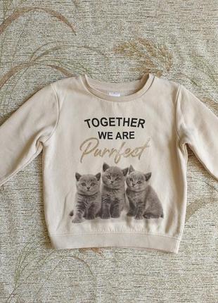 Брендовый свитшон, реглан, свитер с принтом "котята"1 фото