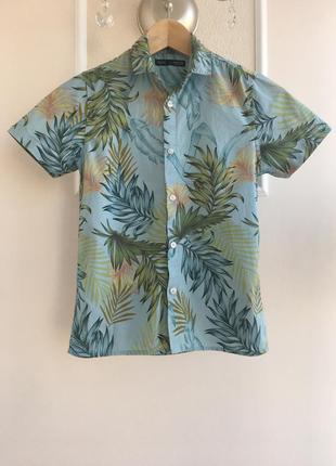 Літня дитяча сорочка на хлопчика «next»