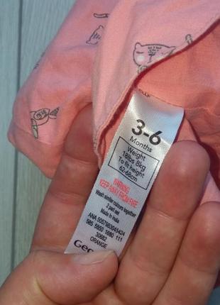 Панамка гарна 2