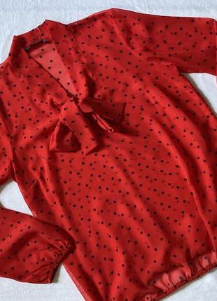 Блузка красная в горошек5 фото
