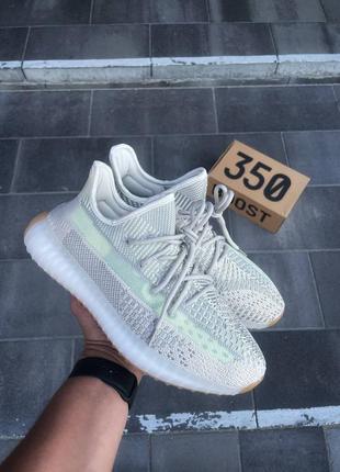 Scarpe izi 350 deals