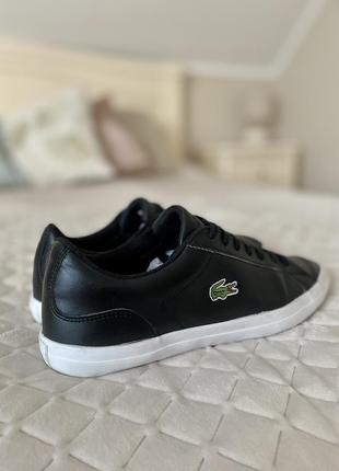 Мужские кеды lacoste6 фото