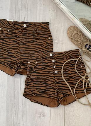 Шорти bershka, зебровий принт