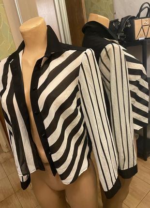 Блуза в смужку