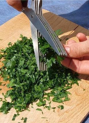 Зручні ножиці для зелені ernesto італія2 фото