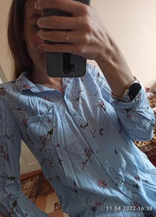 Блуза рубашка