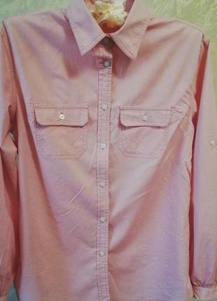 Сорочка /блуза /блузка /футболка довгий рукав/рукав 3/4