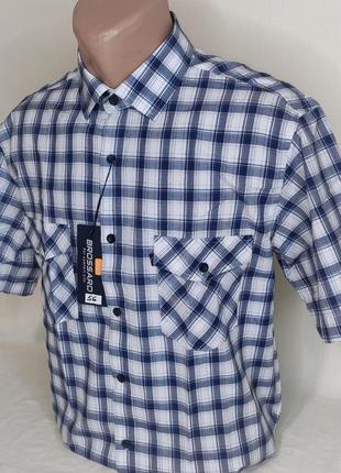 Рубашка мужская brossard vk-0056 голубая в клетку классическая с коротким рукавом, тенниска мужская хлопок4 фото