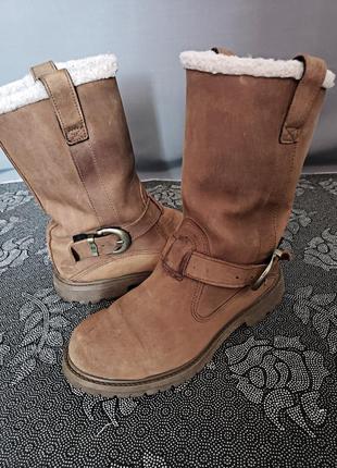 Сапоги timberland кожа байкерские сапожки женские зима тимбирленд original waterproof usa camel1 фото