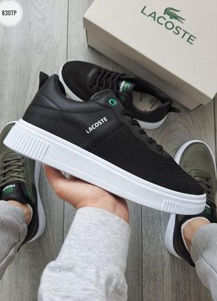 Чоловічі кеди lacoste