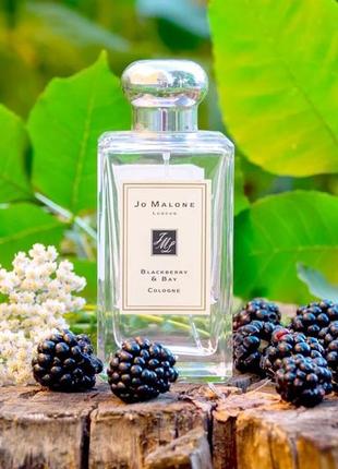 Jo malone blackberry & bay ежевика💥оригинал распив аромата затест