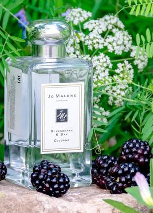 Jo malone blackberry & bay ежевика💥оригинал распив аромата затест