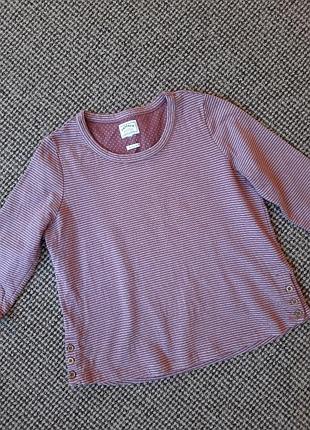 Реглан fat face