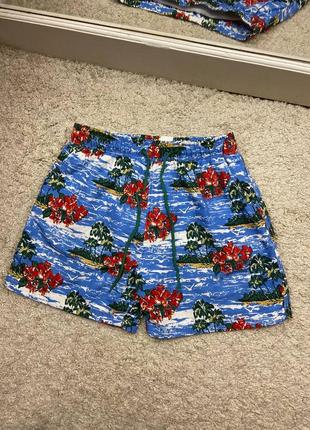 Шорті cedarwood state