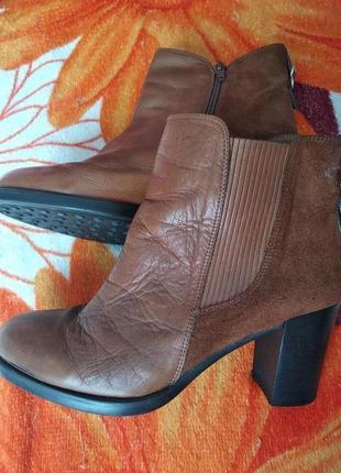 Модні весняні чоботи. акція! третій товар до 51 грн в подарунок.