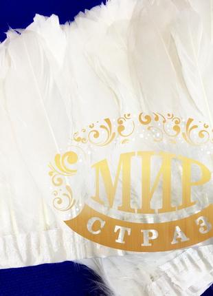 Тасьма пір'яна з гусячого пір'я, висота 15-20см колір white, ціна за 0.5 м
