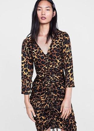 Стильна сукня міді zara леопардовий принт4 фото