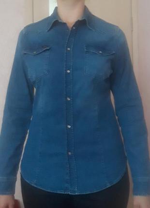 Джинсова сорочка жіноча lee синя2 фото