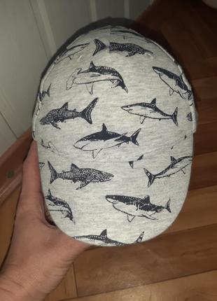 Кепка на хлопчика в акулах