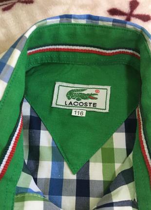 Рубашка lacoste3 фото