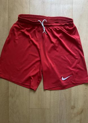 Шорты nike dri-fit3 фото