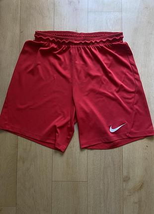 Шорти nike dri-fit