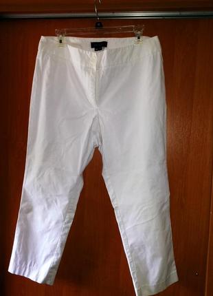 Бриджі білі 14 w karen kane сша