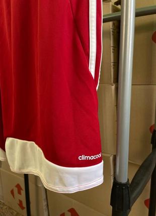 Мужские спортивные шорты adidas climacool4 фото