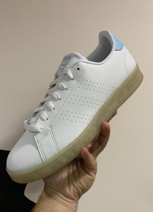 Кросівки adidas advantage